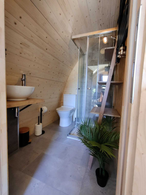 Moderne badeværelse med trævægge, toilet, bruser og grøn plante i Woodlodge ved Wilsumer Berge, Tyskland.