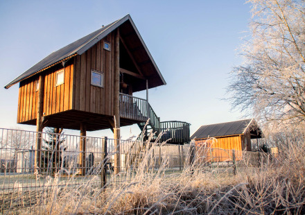 Boomhut bij Holiday Park Mölke, Nederland, op een ijzige ochtend met een heldere blauwe lucht.