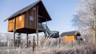 Cabane dans les arbres au Holiday Park Mölke, Pays-Bas, par une matinée givrée sous ciel bleu.
