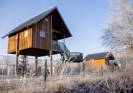 Boomhut bij Holiday Park Mölke, Nederland, op een ijzige ochtend met een heldere blauwe lucht.