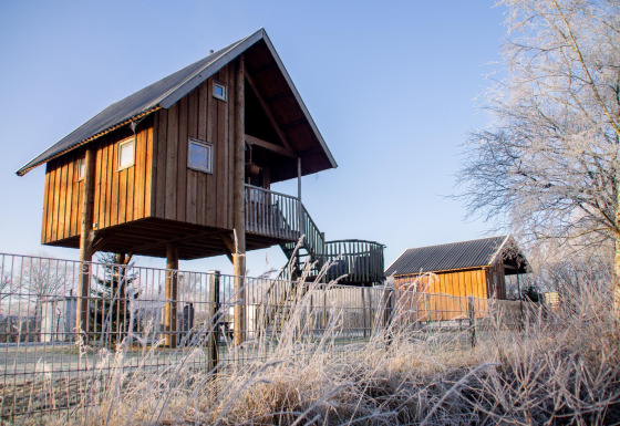 Boomhut in Holiday Park Mölke, Nederland, op een koude ochtend met kraakheldere hemel.