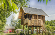 Wooden tree house with circular balcony, surrounded by trees and greenery, perfect for a nature retreat.