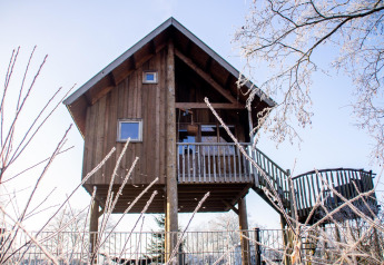 Boomhut bij Holiday Park Mölke in Nederland, gefotografeerd op een frisse ochtend met rijm aan de takken.