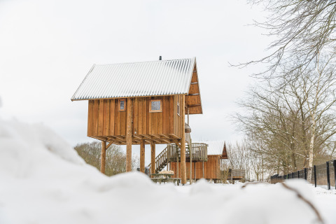 Boomhut op palen bedekt met sneeuw in Holiday Park Mölke, Nederland, met een winters landschap rondom.