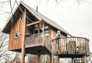 Tree house at Holiday Park Mölke in the Netherlands with a person enjoying the balcony view outside.