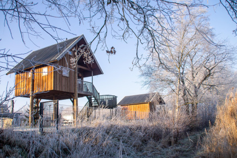 Cabane dans les arbres au Holiday Park Mölke, Pays-Bas, entourée d’herbe givrée et d’arbres d’hiver.