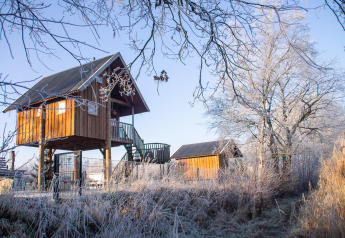 Boomhut bij Holiday Park Mölke in Nederland, omringd door rijp gras en berijpte winterbomen.
