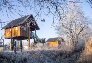 Cabane dans les arbres au Holiday Park Mölke, Pays-Bas, entourée d’herbe givrée et d’arbres d’hiver.