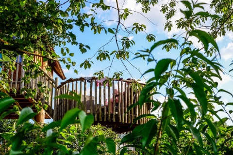 Træhus ved Holiday Park Mölke i Holland, omgivet af grønne blade og blå himmel i baggrunden.