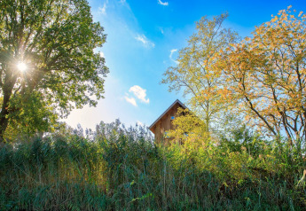 Sonnenlicht scheint durch Bäume neben einem Baumhaus im Holiday Park Mölke in den Niederlanden.