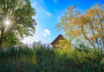 Zonlicht schijnt door de bomen bij een boomhut in Holiday Park Mölke in Nederland.