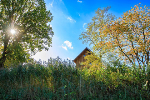 Zonlicht schijnt door de bomen bij een boomhut in Holiday Park Mölke in Nederland.