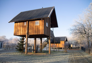 Treehouse on stilts at Holiday Park Mölke, Netherlands, surrounded by frosty trees and clear blue sky.