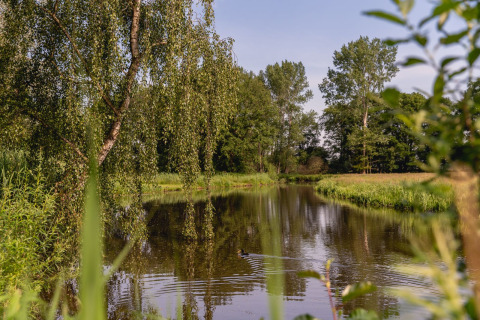Rivierzicht bij River Cabin, Holiday Park Mölke, Nederland, met heldere bomen weerspiegeld in het water.
