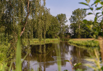 Rivierlandschap bij River Cabin, Holiday Park Mölke, Nederland, met bomen en rustig water in de zon.