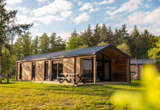 Cabaña de madera moderna con gran terraza y mesa de picnic en un entorno boscoso y soleado.