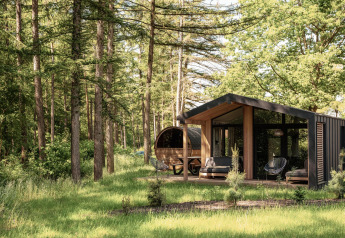 Natur-Lodge mit Panoramasauna im Wald bei Wilsumer Berge, Deutschland, umgeben von hohen Bäumen.