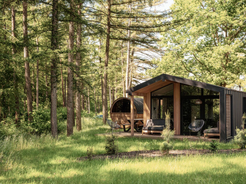 Nature lodge with panoramic sauna nestled in the forest at Wilsumer Berge, Germany, surrounded by tall trees.