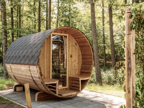 Panoramasauna af træ i en rolig skov ved Nature Lodge, Wilsumer Berge, Tyskland, på en solskinsdag.