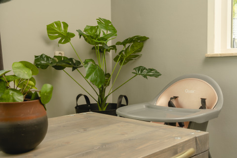 Chaise haute et plantes vertes dans Baby & children bungalow au Holiday Park Mölke aux Pays-Bas.