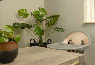 Baby- og børnestol ved siden af grønne planter i Baby & children bungalow på Holiday Park Mölke, Holland.