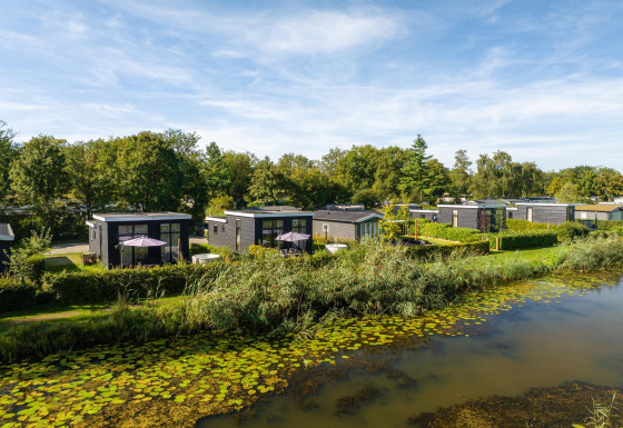 Acogedoras casas pequeñas junto a un río con lirios y vegetación en River Cabin, bajo un cielo azul.