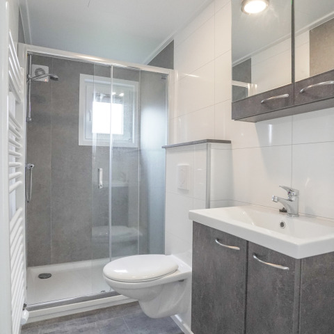 Salle de bains moderne et compacte dans une tiny house au Holiday Park Mölke avec douche et toilette murale.