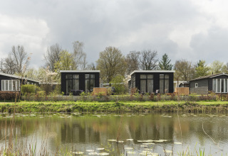 Two modern tiny houses by the water at Holiday Park Mölke, Netherlands, surrounded by trees and serene nature.