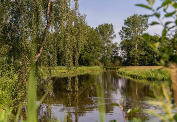 Kleine rustige rivier bij River Cabin + hot tub in Holiday Park Mölke, omgeven door groene bomen.