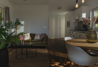 Moderne glamping-indkvartering med hyggelig stue, spiseplads, grøn sofa, dekoration og naturligt lys.