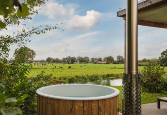 Vue depuis River Lodge et bain nordique au Holiday Park Mölke, Pays-Bas, sur prairies et vaches au loin.