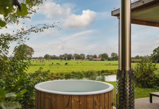 Vue depuis River Lodge et bain nordique au Holiday Park Mölke, Pays-Bas, sur prairies et vaches au loin.