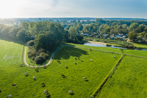 Vista aérea de prados verdes con vacas pastando, carril bici y alojamientos glamping junto al bosque.