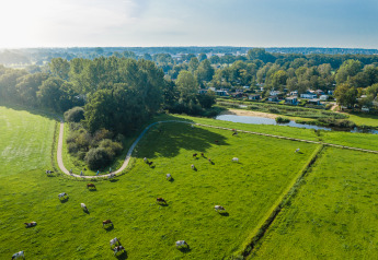 Luchtfoto van weilanden met koeien, een fietspad en glampingaccommodaties aan de rand van de bomen.