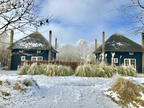 Twin thatched-roof tiny houses in snow at Holiday Park Mölke, Netherlands, surrounded by frosty trees.