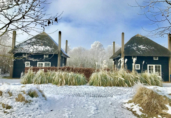 Deux tiny houses au toit de chaume dans la neige au Holiday Park Mölke, Pays-Bas, entourées d’arbres givrés.