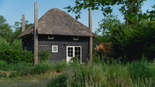 Tiny house called Reggehooiberg with thatched roof, sauna, and hot tub, surrounded by lush greenery.