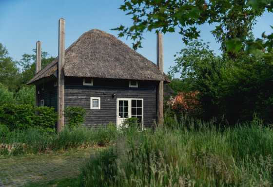 Kleines Haus namens Reggehooiberg mit Strohdach, Sauna und Whirlpool in grüner Umgebung.