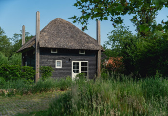 Tiny house Reggehooiberg met rieten dak, sauna en hottub, omringd door groene natuur.