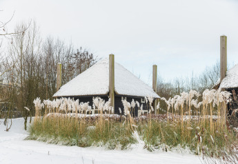 Met sneeuw bedekte tiny house Reggehooiberg met sauna en hot tub bij Holiday Park Mölke, Nederland, in de winter.
