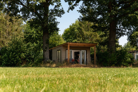 Kleines Holzhaus mit Terrasse und großen Bäumen bei Holiday Park Mölke in den Niederlanden im Sommer.