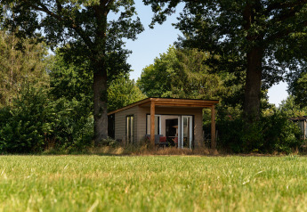 Kleines Holzhaus mit Terrasse und großen Bäumen bei Holiday Park Mölke in den Niederlanden im Sommer.