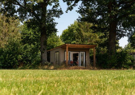 Kleine houten lodge met veranda tussen bomen bij Holiday Park Mölke in Nederland, zonnige dag.