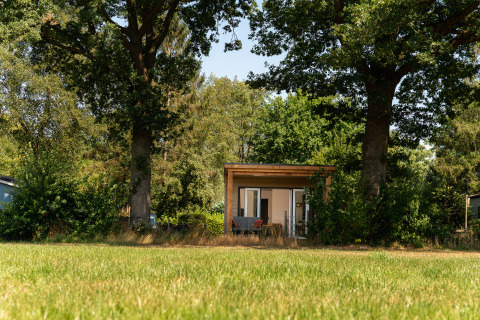 Lille træhytte mellem træer med terrasse ved Holiday Park Mölke i Holland, omgivet af natur.