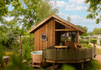 Regge Cottage tiny house met een hot tub en terras, omgeven door groene bomen en natuurlijke omgeving.