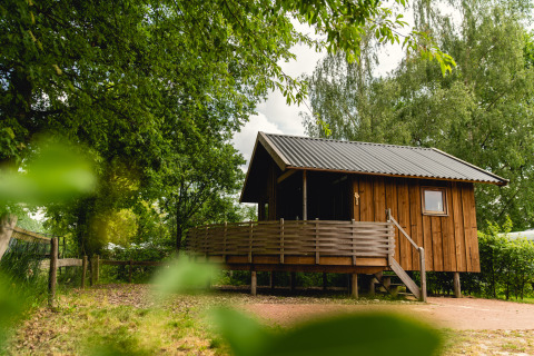 Pequeña casa de madera Regge Cottage con porche en Holiday Park Mölke, Países Bajos, rodeada de árboles.
