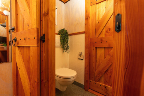 Et hyggeligt badeværelse i træ med toilet og grøn plante, set i et tiny house på Holiday Park Mölke.