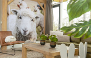 Living room of the Baby & children bungalow at Holiday Park Mölke, Netherlands, with large sheep photo wall.
