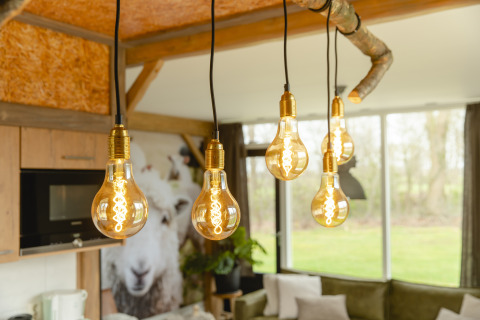 Indoor view of vintage-style light bulbs at Baby & Children Bungalow, Holiday Park Mölke, Netherlands.