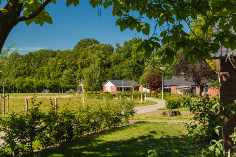 Vue sur des bungalows pour familles au Holiday Park Mölke, Pays-Bas, entourés de verdure et d’arbres.